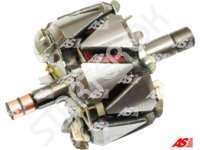 Rotor Alternator AR1007 AS