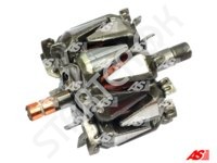 Rotor Alternator AR3010 AS