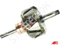 Rotor Alternator AR5011 AS