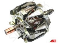 Rotor Alternator AR6013 AS