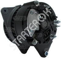 Alternator CARGO  113713