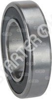 Bearing 142289 CARGO