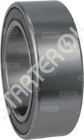 Bearing 250210 CARGO