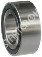 Bearing CARGO  253240