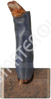 Brush set starter BS170 CARGO