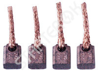 Brush set starter CARGO  BSX1964