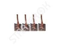 Brush set starter BSX218219 CARGO
