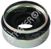 Carbon Seal 251027 CARGO