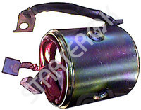 Field coil starter CARGO  138198