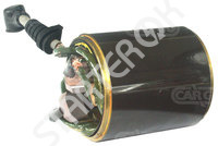 Field coil starter CARGO  232483