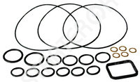 Gasket Kit 250422 CARGO