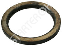 Gasket Seal 234888 CARGO