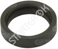 Lock Ring 235688 CARGO