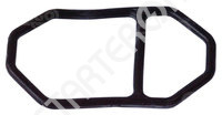 Manifold Gasket 250191 CARGO