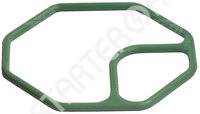 Manifold Gasket 250430 CARGO