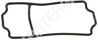 Manifold Gasket 250511 CARGO