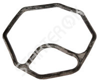 Manifold Gasket 250514 CARGO