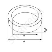 Manifold Gasket 250515 CARGO