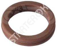 Manifold Gasket 250519 CARGO