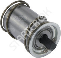 Plunger 230950 CARGO