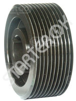 Pulley alternator 234016 CARGO