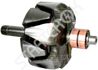 Rotor Alternator 230256 CARGO