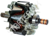 Rotor Alternator 231256 CARGO