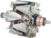 Rotor Alternator 234621 CARGO