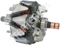 Rotor Alternator 235219 CARGO