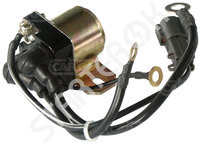 Safety Switch starter 233891 CARGO