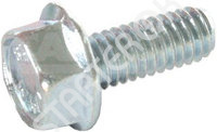 Screw Bolt 191326 CARGO