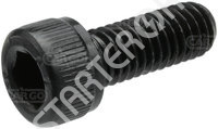 Screw Bolt 192591 CARGO