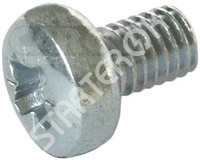 Screw 191266 CARGO