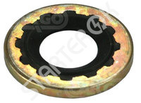 Sealing ring of rubber-metal 250550 CARGO