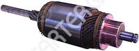 Starter armature CARGO  132155