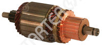 Starter armature 134365 CARGO