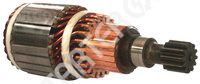 Starter armature CARGO  231680