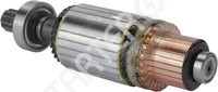 Starter armature 333059 CARGO