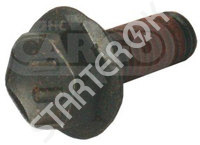 Through Bolt 252115 CARGO