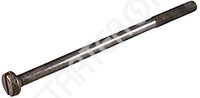 Thru Bolt 137819 CARGO