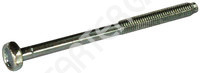 Thru Bolt 231355 CARGO