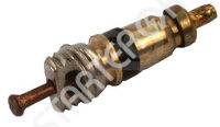 Valve Core 250528 CARGO