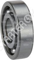 Bearing CARGO BRG0195144