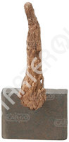 Brush set starter CARGO 1BRH0123535