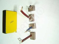 Brush set starter IKA 1BRH0009355
