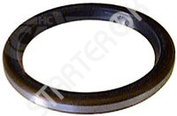 oil seal Alternator CARGO 2VPA0019172