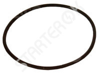 oil seal Alternator CARGO 2VPA0117286