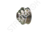 Pulley alternator CARGO 2PUL0024981