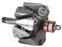 Rotor Alternator CARGO 2ROT0019112