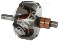 Rotor Alternator CARGO 2ROT0131348